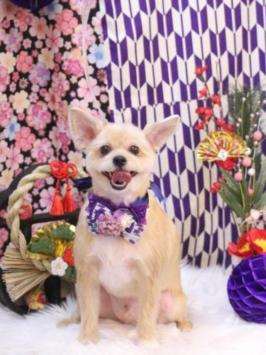 20250119リクくん